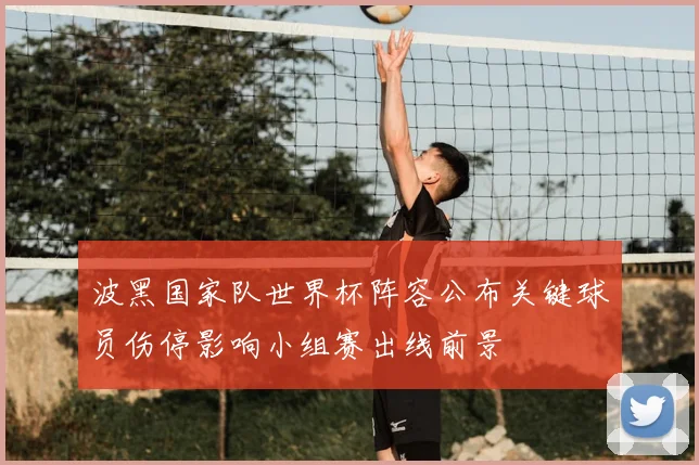 波黑国家队世界杯阵容公布关键球员伤停影响小组赛出线前景