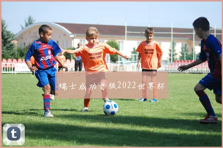 瑞士成功晋级2022世界杯