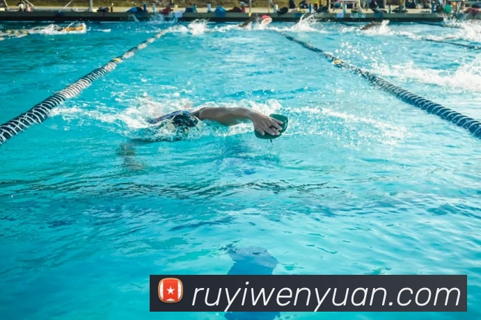 App Interface Preview