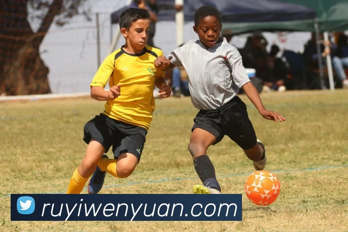 ky平台APP 封面图